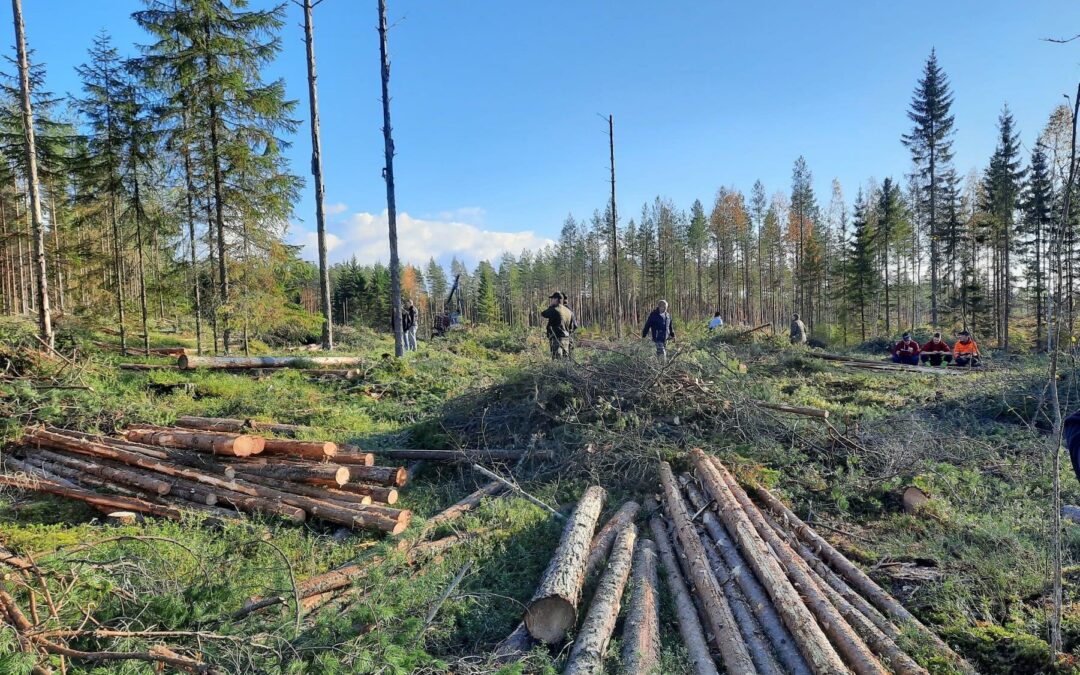 Metsäasiat kiinnostivat Kaustisella ja Merijärvellä